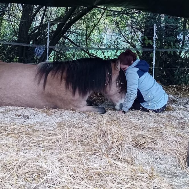 Susanne mit Pony